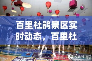 百里杜鹃景区实时动态,百里杜鹃景区开放了吗