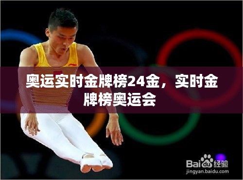奥运实时金牌榜24金,实时金牌榜奥运会