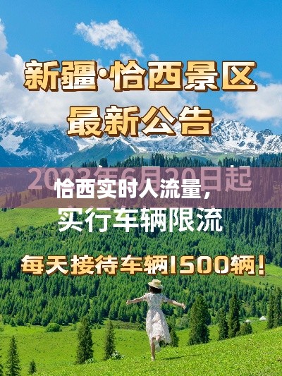 恰西实时人流量,