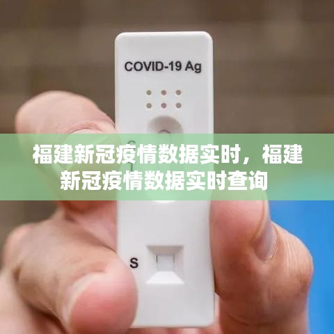 福建新冠疫情数据实时,福建新冠疫情数据实时查询