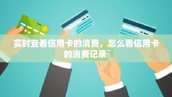 实时查看信用卡的消费,怎么看信用卡的消费记录