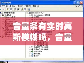 音量条有实时高斯模糊吗,音量条不消失怎么办