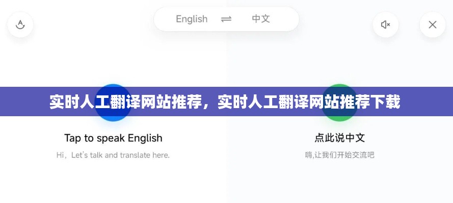 实时人工翻译网站推荐,实时人工翻译网站推荐下载