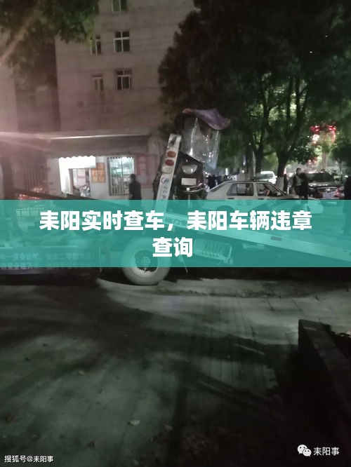 耒阳实时查车,耒阳车辆违章查询