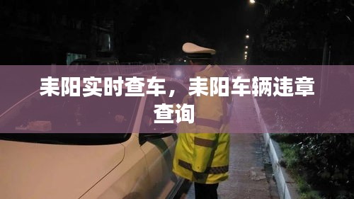 耒阳实时查车,耒阳车辆违章查询