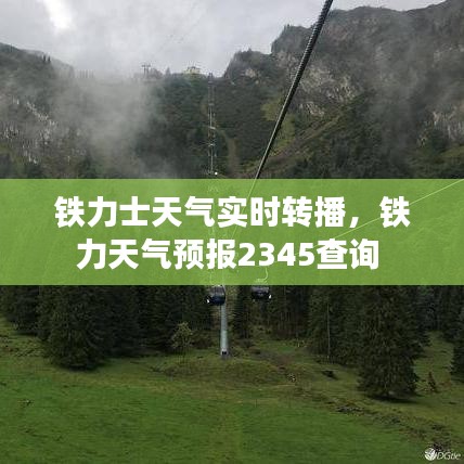 尽心尽力 第5页
