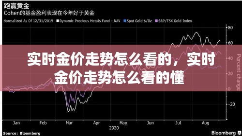 实时金价走势怎么看的,实时金价走势怎么看的懂