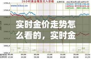 实时金价走势怎么看的,实时金价走势怎么看的懂