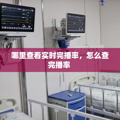哪里查看实时完播率,怎么查完播率