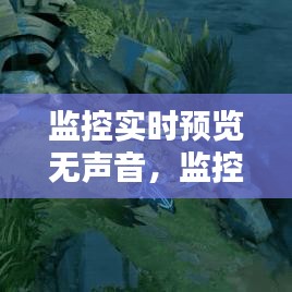监控实时预览无声音,监控实时预览无声音怎么办
