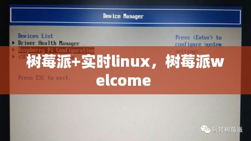 树莓派+实时linux,树莓派welcome