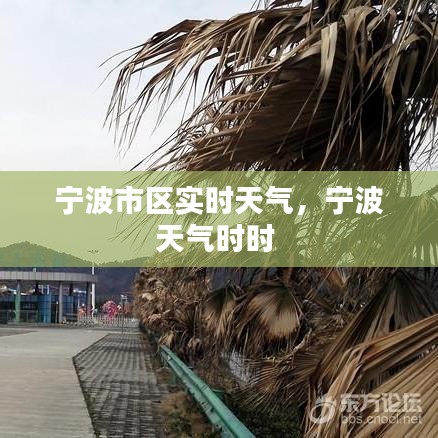 宁波市区实时天气,宁波天气时时