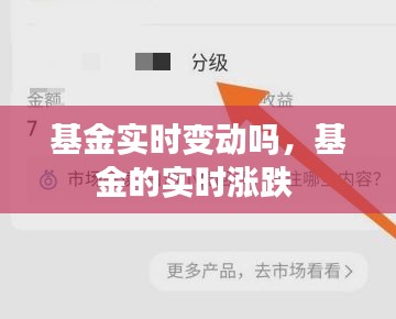 基金实时变动吗,基金的实时涨跌
