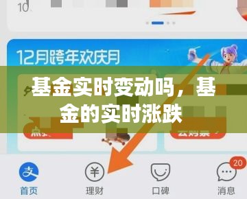 基金实时变动吗,基金的实时涨跌