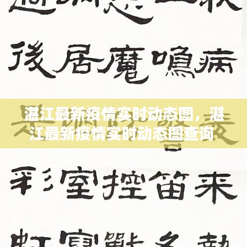 湛江最新疫情实时动态图,湛江最新疫情实时动态图查询