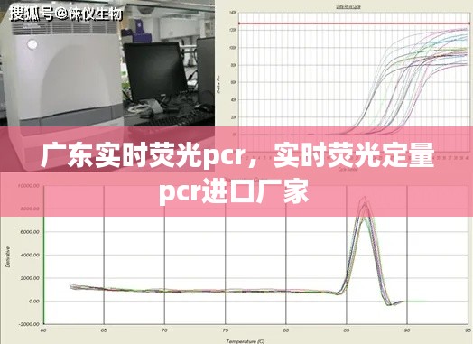 广东实时荧光pcr,实时荧光定量pcr进口厂家