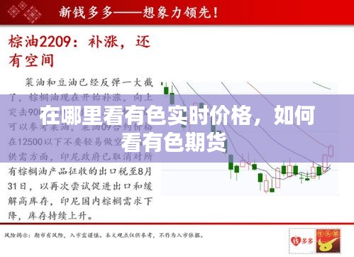 在哪里看有色实时价格,如何看有色期货