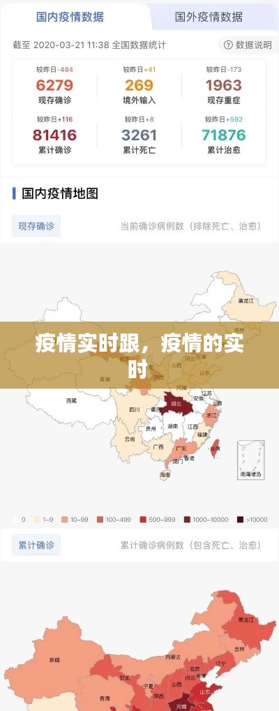 疫情实时跟,疫情的实时