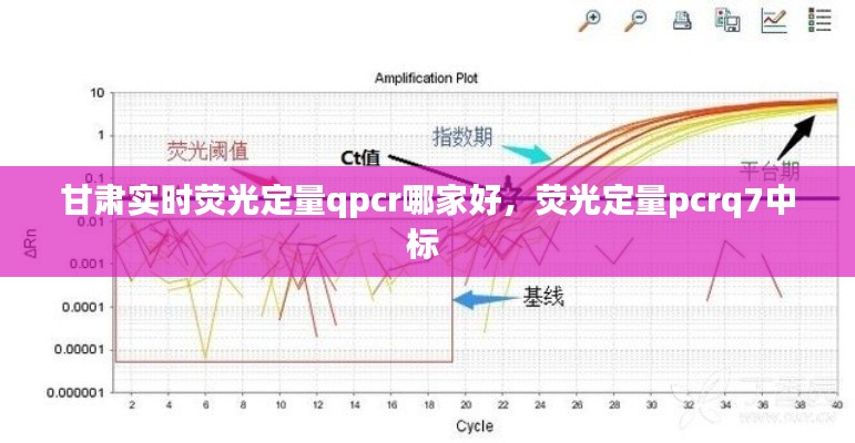 甘肃实时荧光定量qpcr哪家好,荧光定量pcrq7中标