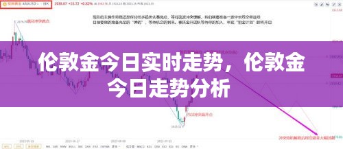 伦敦金今日实时走势,伦敦金今日走势分析