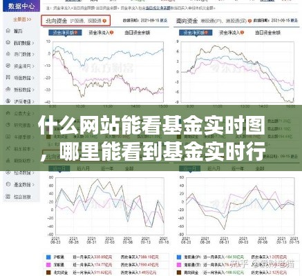 什么网站能看基金实时图,哪里能看到基金实时行情