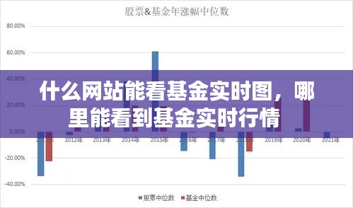 什么网站能看基金实时图,哪里能看到基金实时行情