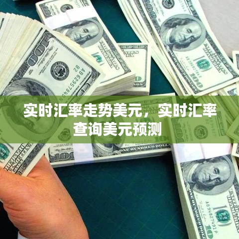 实时汇率走势美元,实时汇率查询美元预测