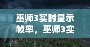 巫师3实时显示帧率,巫师3实时显示帧率怎么调