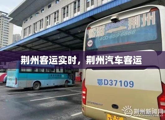 荆州客运实时,荆州汽车客运