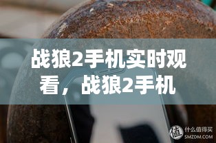 战狼2手机实时观看,战狼2手机实时观看