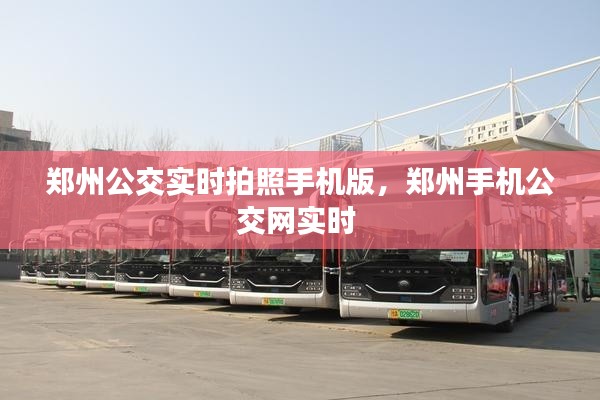 郑州公交实时拍照手机版,郑州手机公交网实时