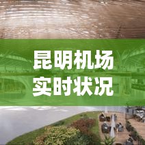 昆明机场实时状况,昆明机场最新动态