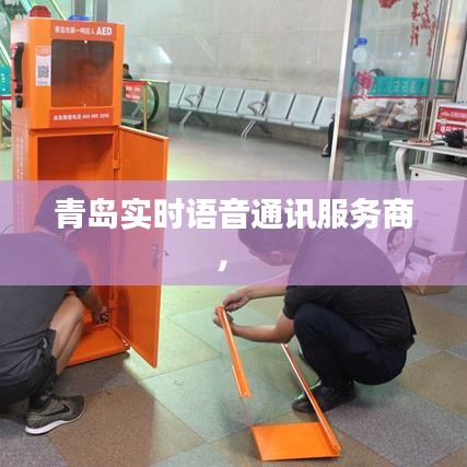 青岛实时语音通讯服务商,