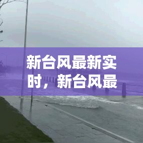 新台风最新实时,新台风最新实时报道
