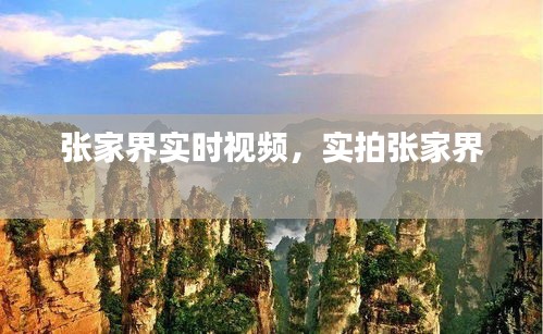 张家界实时视频,实拍张家界