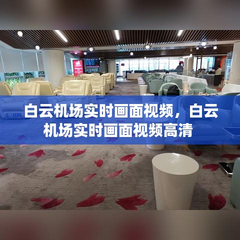 白云机场实时画面视频,白云机场实时画面视频高清