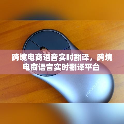 跨境电商语音实时翻译,跨境电商语音实时翻译平台