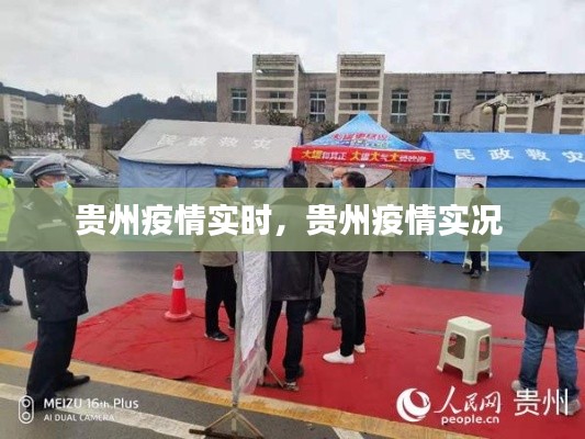 贵州疫情实时,贵州疫情实况