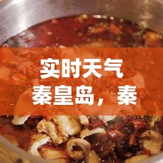 实时天气 秦皇岛,秦皇岛,天气