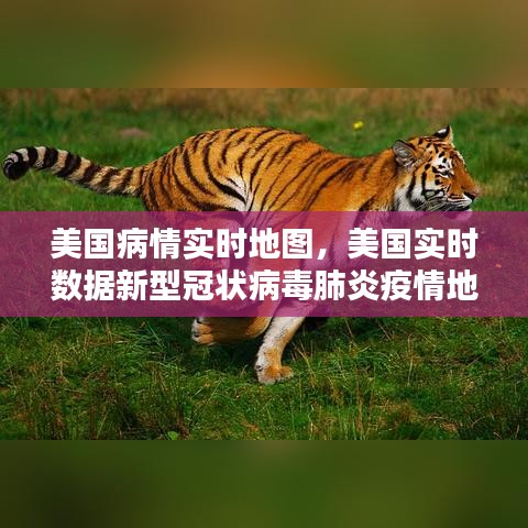 饭来张口 第5页