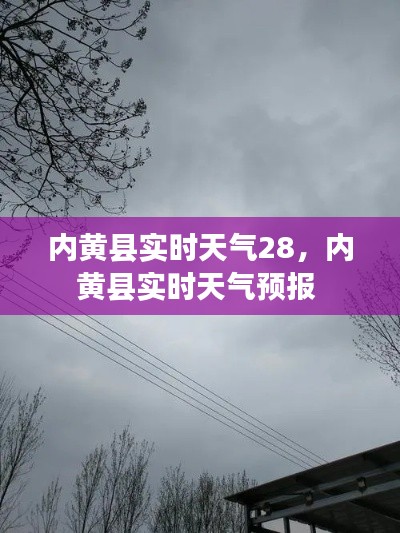 内黄县实时天气28,内黄县实时天气预报