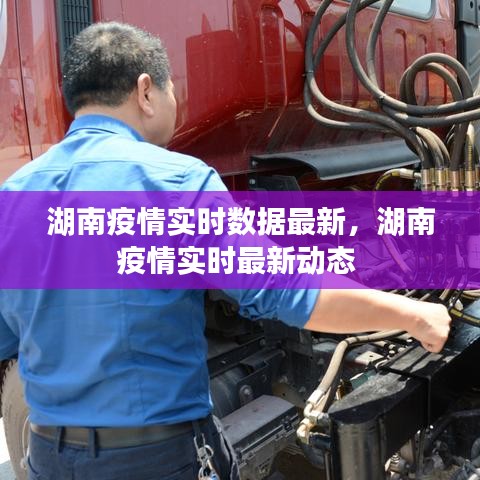 湖南疫情实时数据最新,湖南疫情实时最新动态