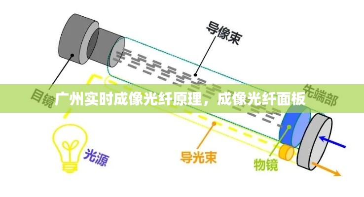 广州实时成像光纤原理,成像光纤面板