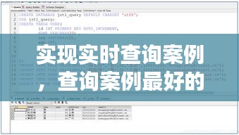 实现实时查询案例,查询案例最好的网站