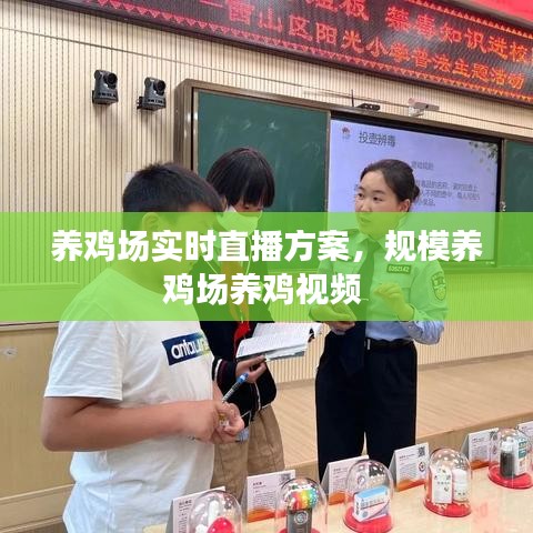 养鸡场实时直播方案,规模养鸡场养鸡视频