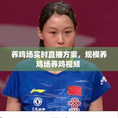 养鸡场实时直播方案,规模养鸡场养鸡视频