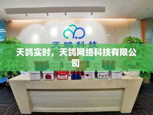 天鸽实时,天鸽网络科技有限公司