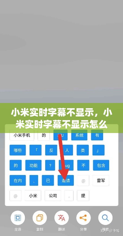 小米实时字幕不显示,小米实时字幕不显示怎么回事