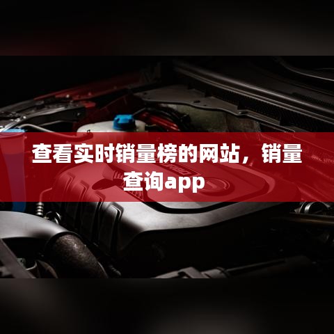 查看实时销量榜的网站,销量查询app