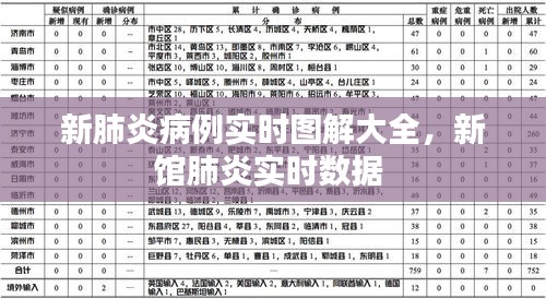 新肺炎病例实时图解大全,新馆肺炎实时数据